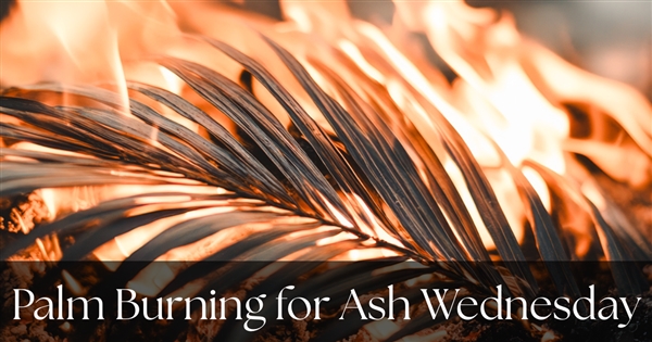 Palms For Ash Wednesday