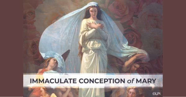 Immaculate Conception Holy Day Mass Times